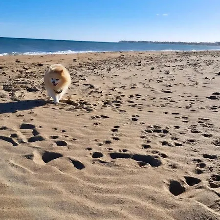 別荘 Casa Victoria, Almadrava Playa デニア